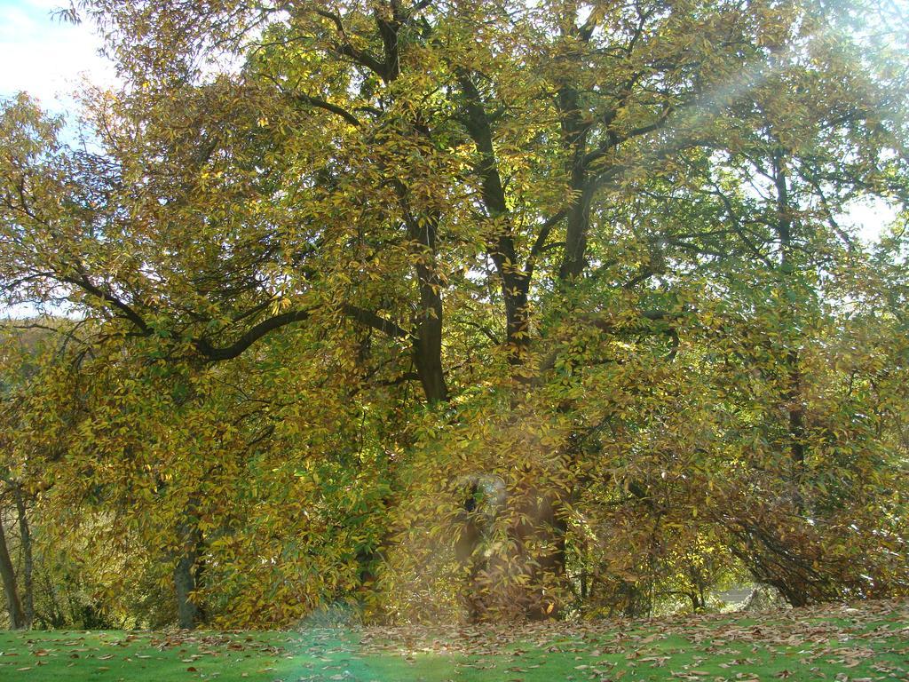 Chambre D'Hotes Les Champarts Tourville-la-Chapelle Bagian luar foto
