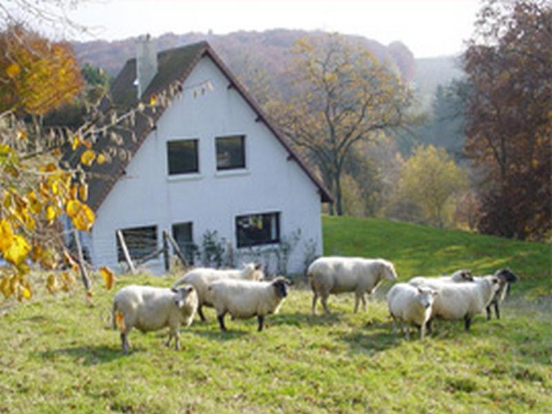 Chambre D'Hotes Les Champarts Tourville-la-Chapelle Bagian luar foto